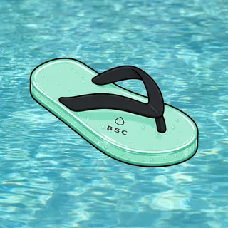 FlipFlops #1113