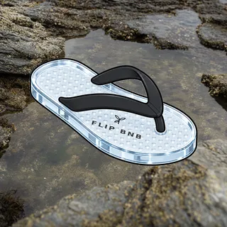 FlipFlops #1119