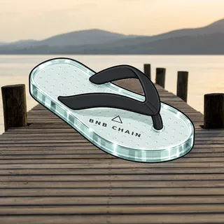 FlipFlops #1130