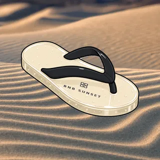 FlipFlops #1133