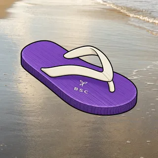 FlipFlops #1135