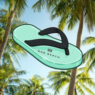 FlipFlops #1157