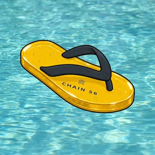 FlipFlops #1187