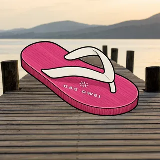 FlipFlops #119