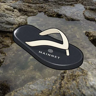 FlipFlops #1204