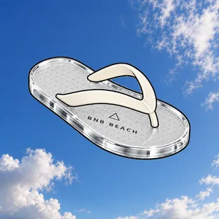 FlipFlops #1210