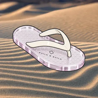 FlipFlops #1217