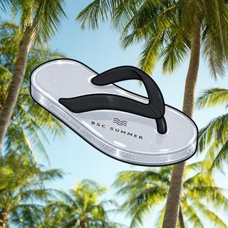 FlipFlops #1222