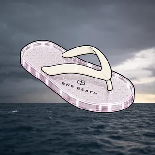 FlipFlops #1243