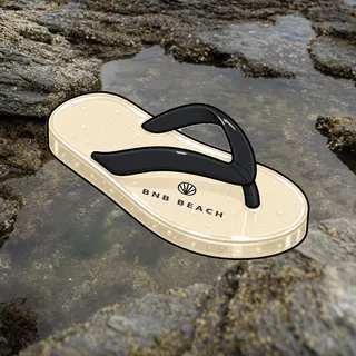 FlipFlops #1248