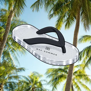 FlipFlops #1261