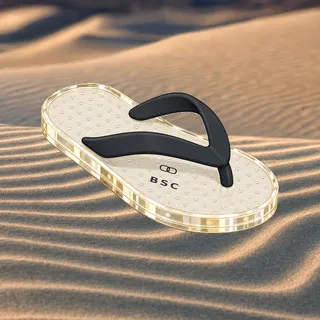 FlipFlops #1272