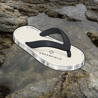 FlipFlops #1329