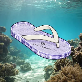 FlipFlops #1333