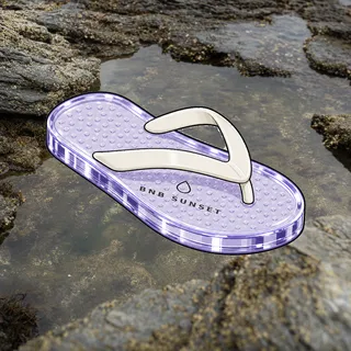 FlipFlops #1337