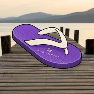 FlipFlops #1348