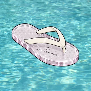 FlipFlops #1353