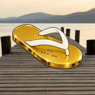 FlipFlops #1366