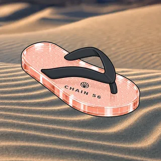 FlipFlops #1376