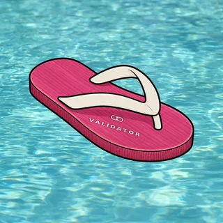 FlipFlops #1384