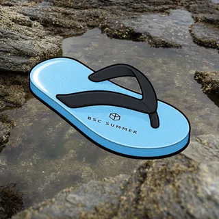FlipFlops #139