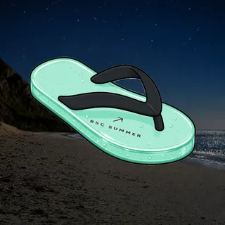 FlipFlops #1390