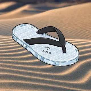FlipFlops #140