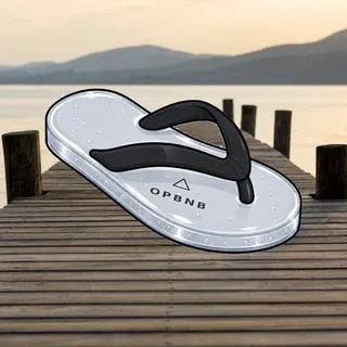 FlipFlops #1402