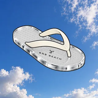 FlipFlops #1407