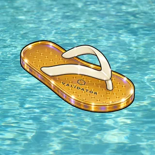FlipFlops #1410