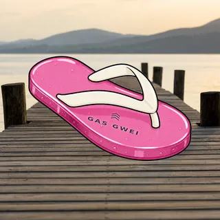 FlipFlops #1411