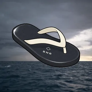 FlipFlops #1425