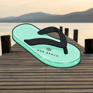 FlipFlops #1428