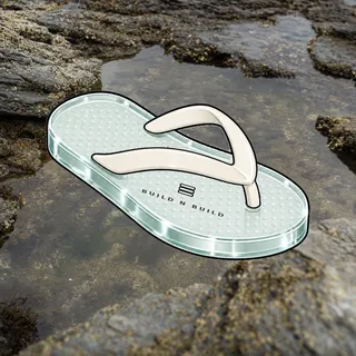 FlipFlops #1429