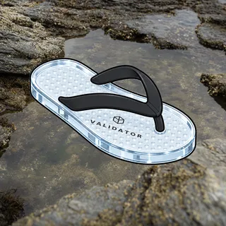 FlipFlops #1435