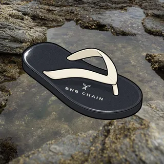 FlipFlops #1439
