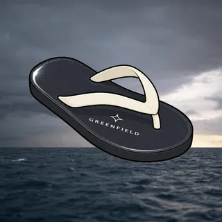 FlipFlops #1452