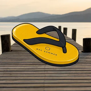 FlipFlops #1458