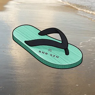 FlipFlops #1459