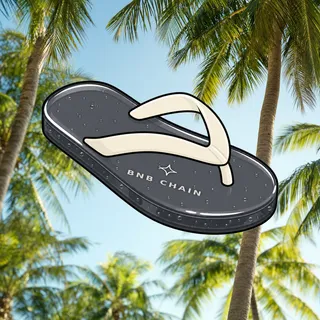 FlipFlops #1468