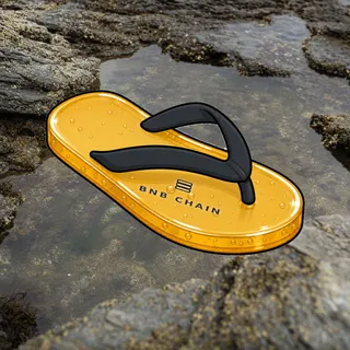 FlipFlops #1477