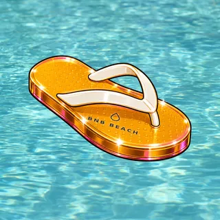 FlipFlops #1481
