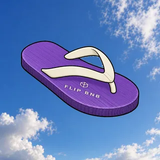 FlipFlops #1483