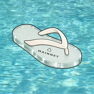 FlipFlops #1497