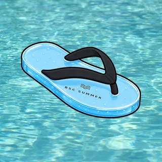 FlipFlops #150