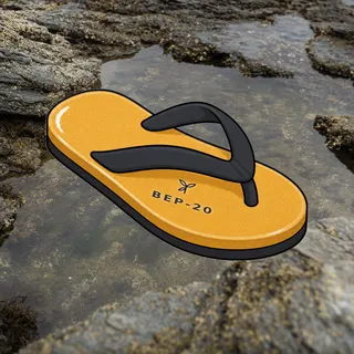 FlipFlops #1503