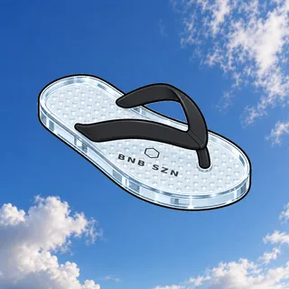 FlipFlops #1506