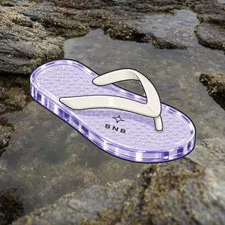 FlipFlops #1516