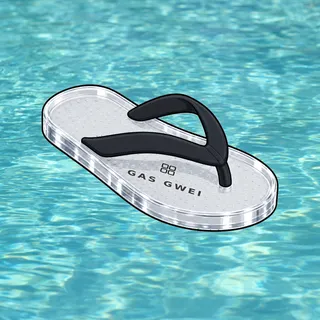 FlipFlops #1517