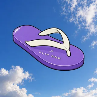 FlipFlops #1518